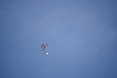 1_IMGP0181