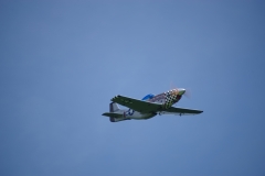 IMGP0159