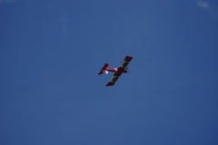 IMGP0343