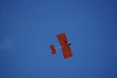 IMGP0366