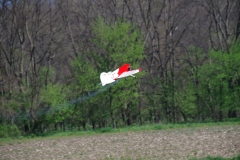 IMGP4087