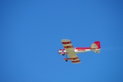 IMGP5331