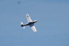 IMGP8799