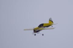 PDVW8802