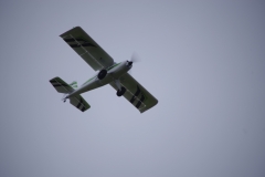 PDVW8872