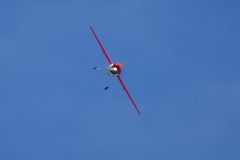 PVW_0785-2