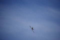 PVW_0878-1