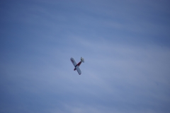 PVW_0880-2