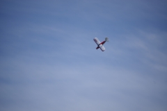 PVW_0881