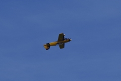 PVW_0906-1