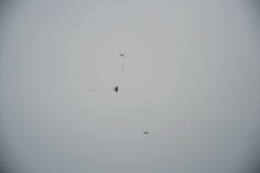 PVW_2503
